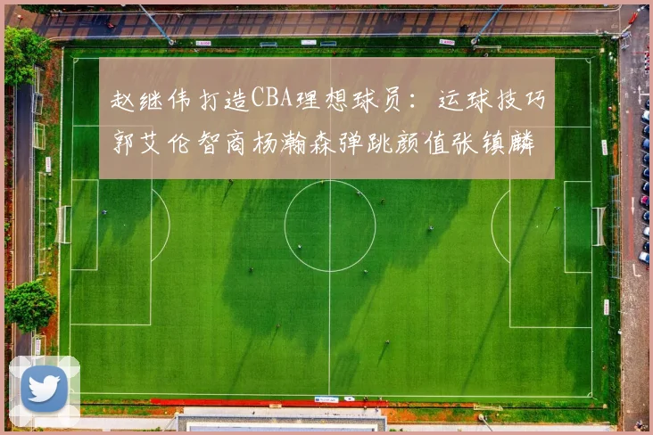 赵继伟打造CBA理想球员：运球技巧郭艾伦智商杨瀚森弹跳颜值张镇麟完美结合