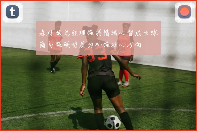 森林狼总经理强调情绪心智成长球商与强硬特质为补强核心方向